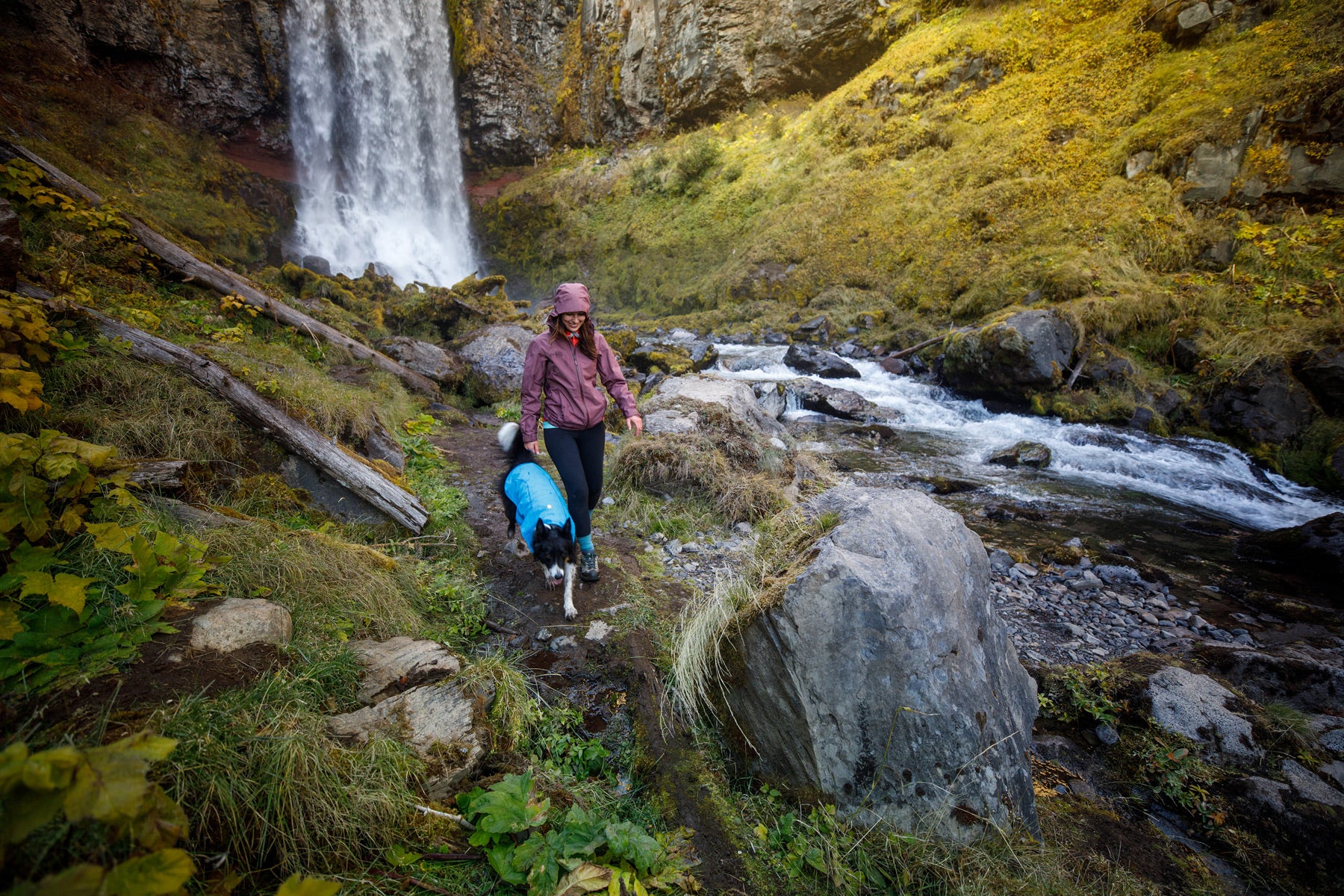 Dog Raincoat Singapore | Waterproof Rain Gear, Boots & Jackets