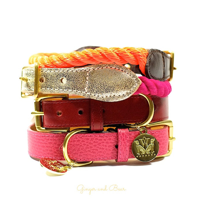 MAKE A STATEMENT WITH OUR STYLISH AND HIGH-QUALITY DOG COLLAR COLLECTION