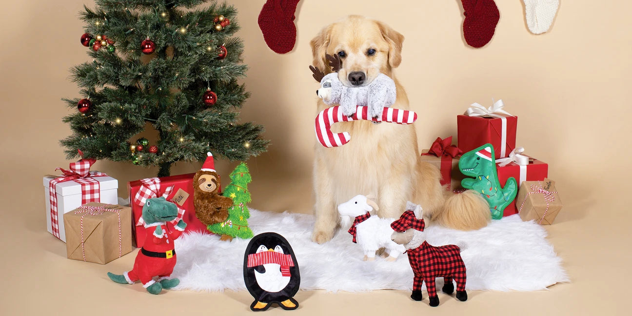 Christmas Sale