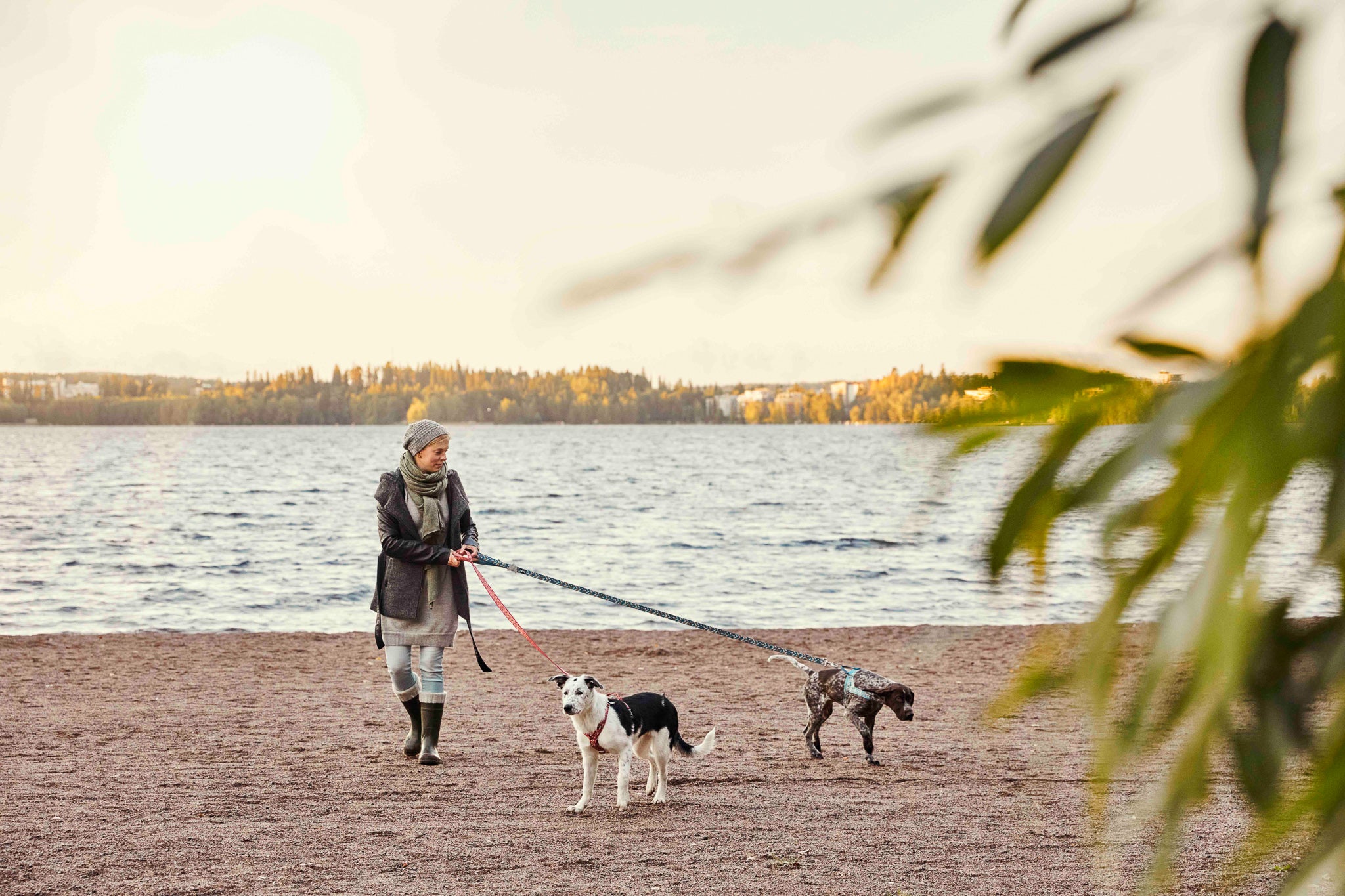 Hurtta Outdoor Dog Gear