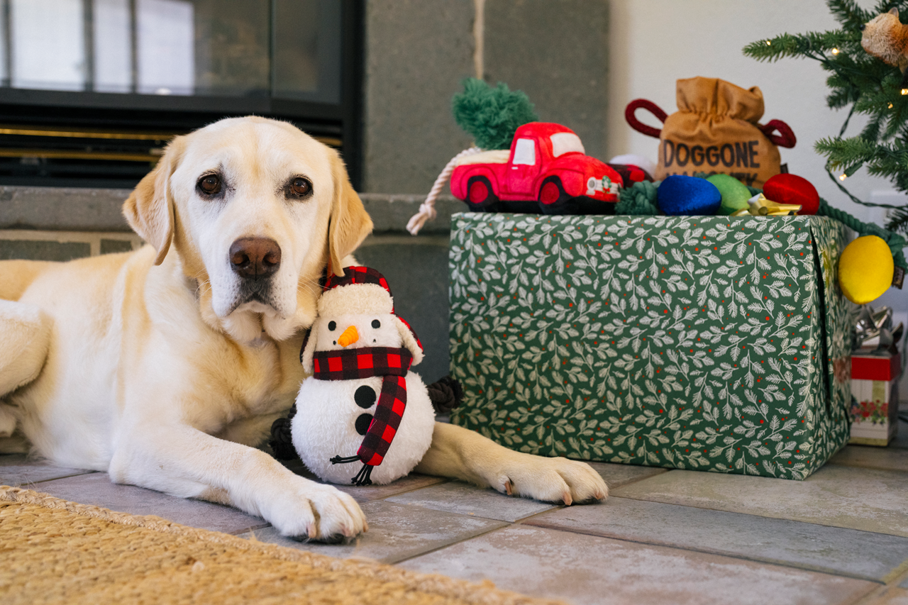 Festive Goodies Coming Soon!