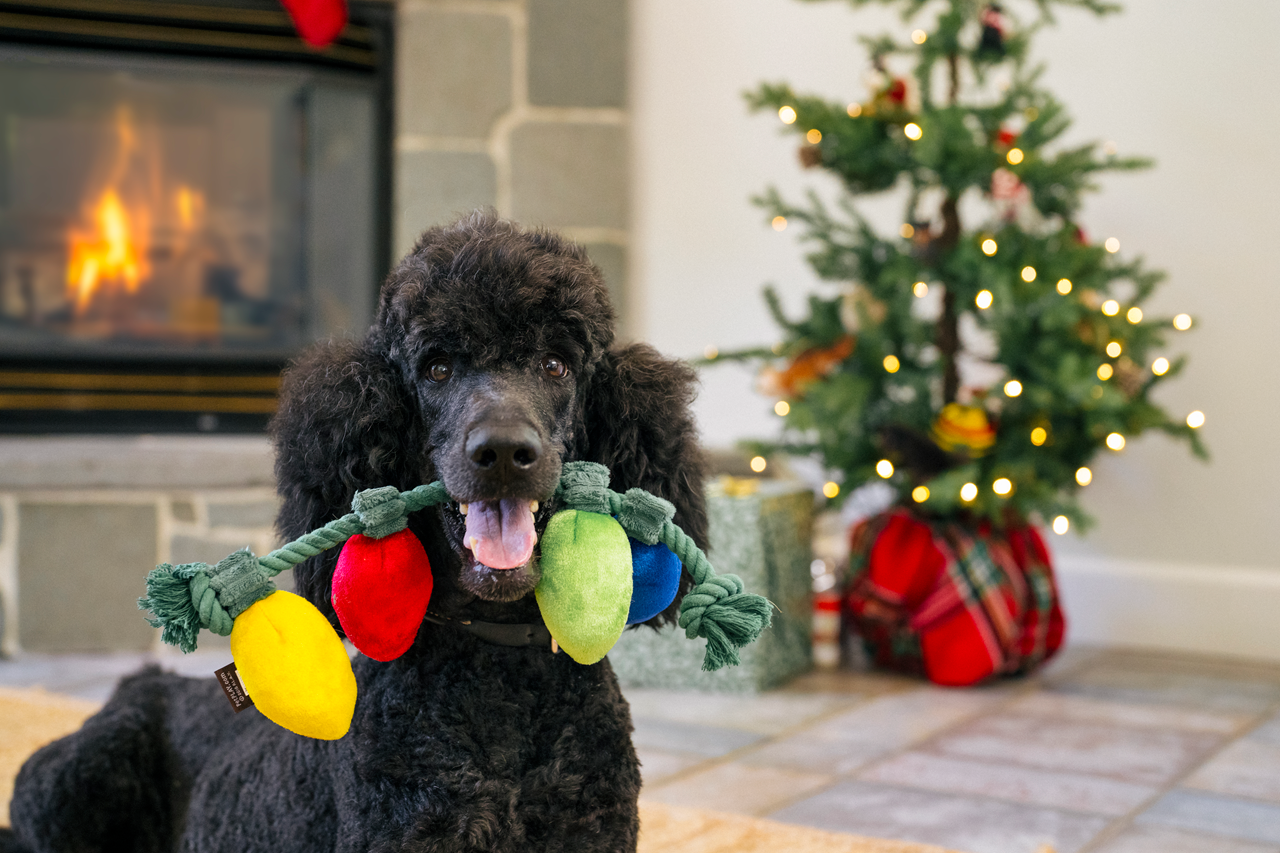 Christmas Dog Toys