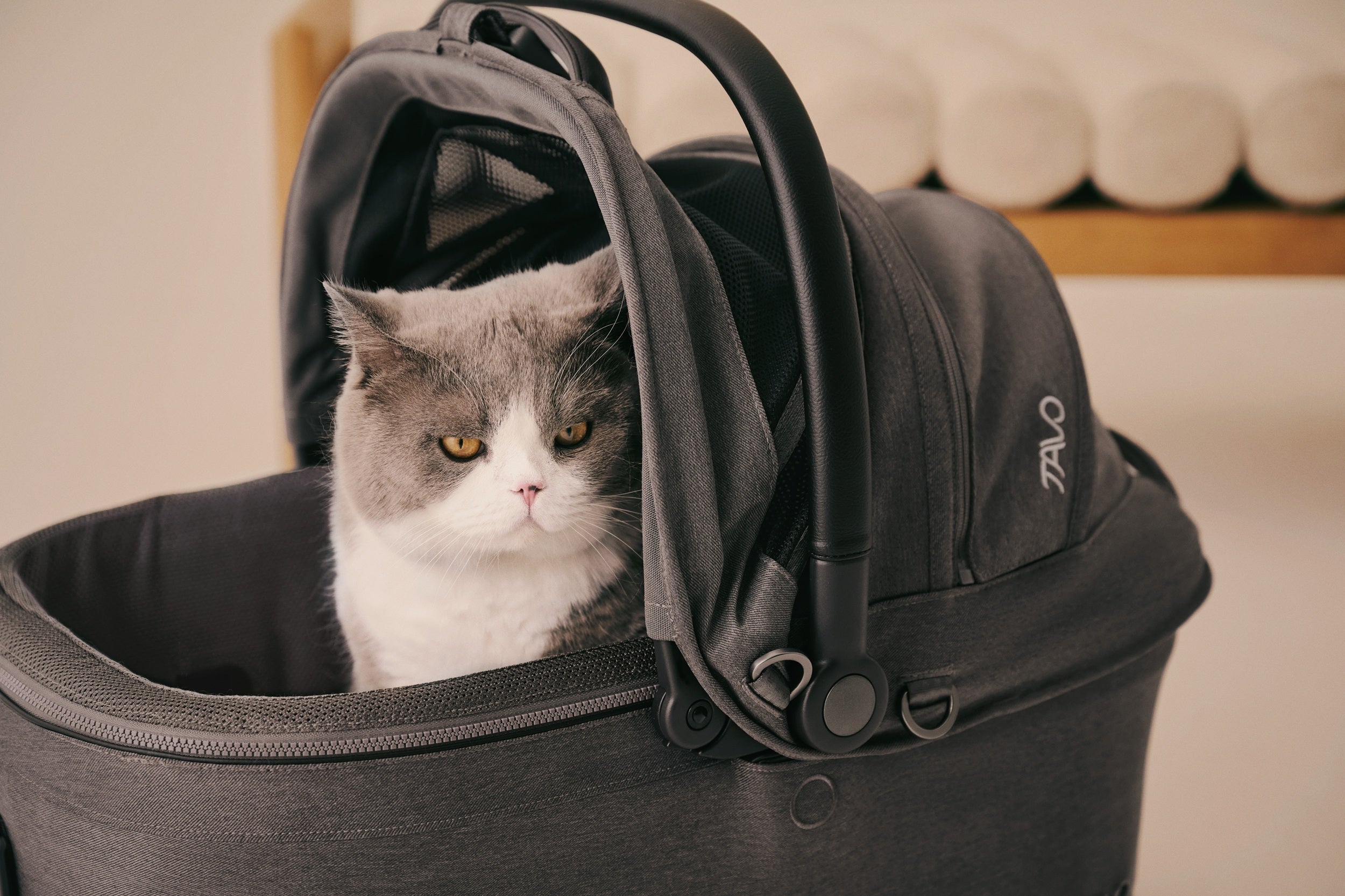 Tavo Maeve ISO pet car seat and carrier with integrated ISOFIX