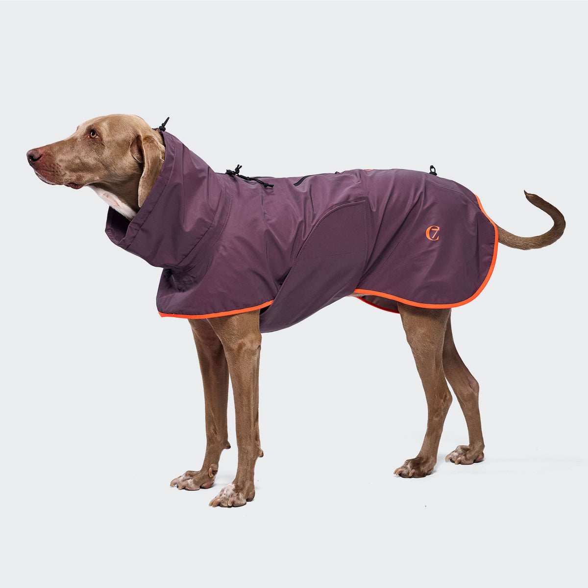 Cloud7 AKTIV fully reflective, premium windproof and water resistant active dog coat for heavy downpours