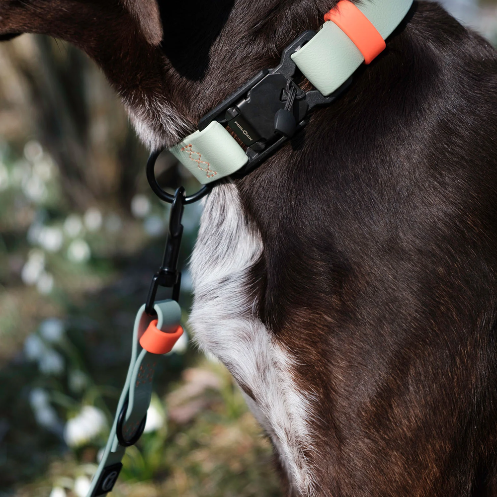 Cloud7: Adjustable Dog Leash BioThane Ipanema Mint-Neon Orange