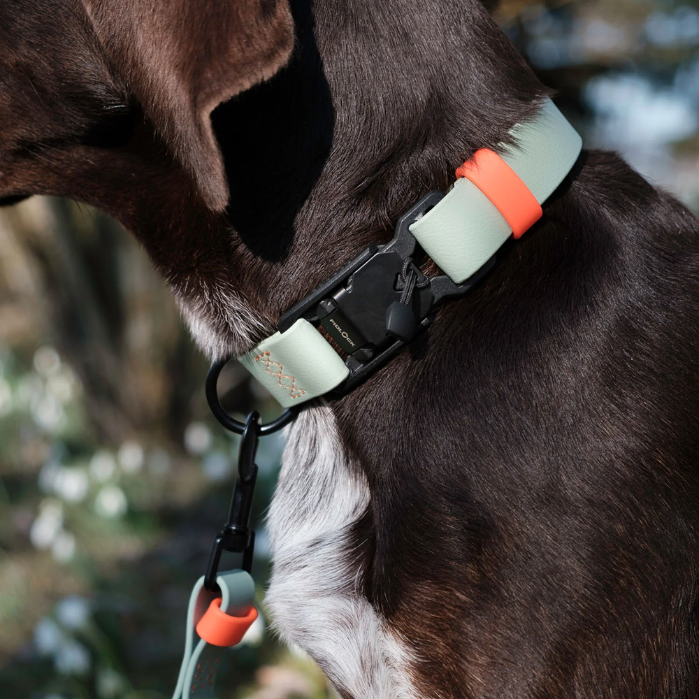 Cloud7: Dog Collar BioThane Ipanema Mint-Neon Orange
