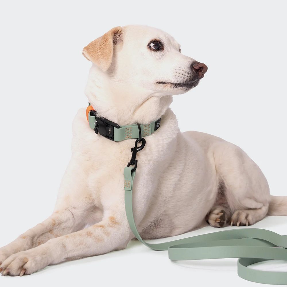 Cloud7: Dog Collar BioThane Ipanema Mint-Neon Orange