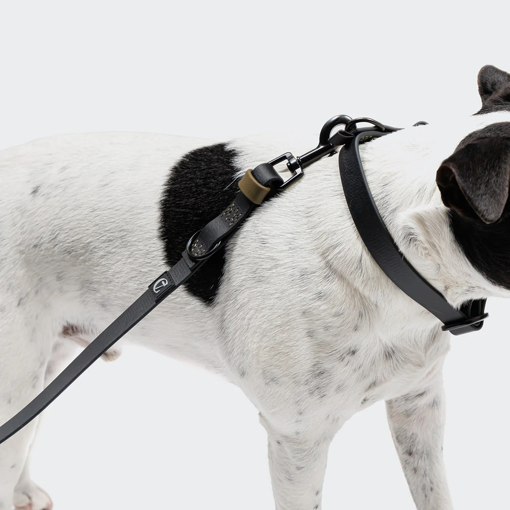 Cloud7: Hands Free Dog Leash BioThane Ipanema, Black-Olive