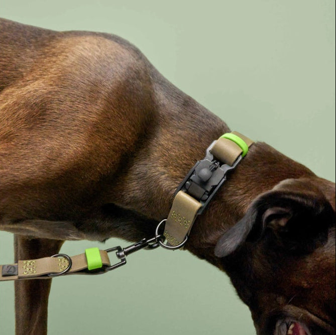 Cloud7: Dog Collar BioThane Ipanema Black-Olive