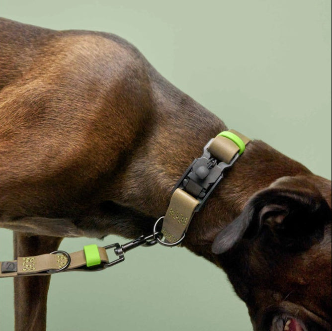 Cloud7: Adjustable Dog Leash BioThane Ipanema Olive-Neon Green