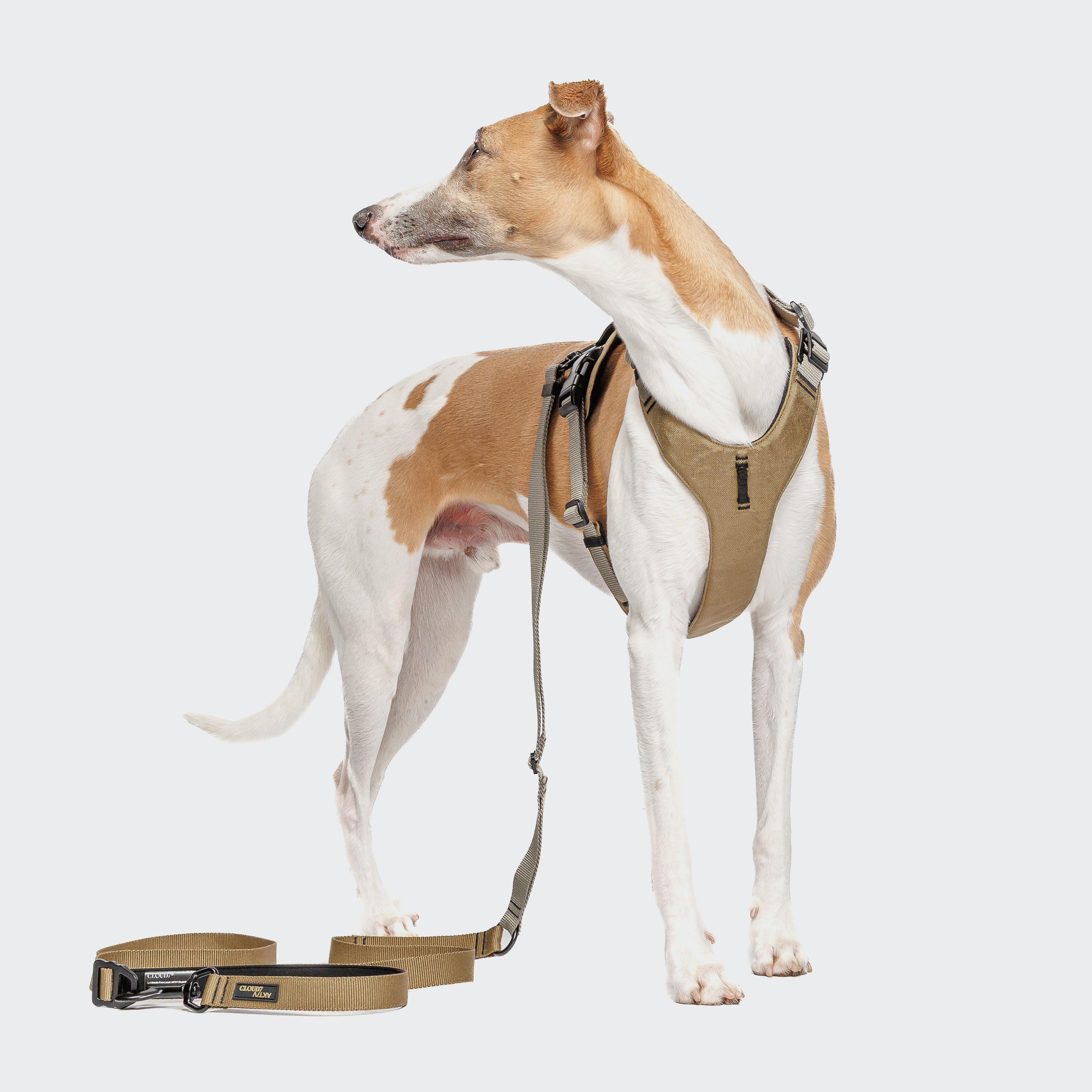Cloud7: L-1 AKTIV Hands-Free Dog Leash, Khaki/Grey