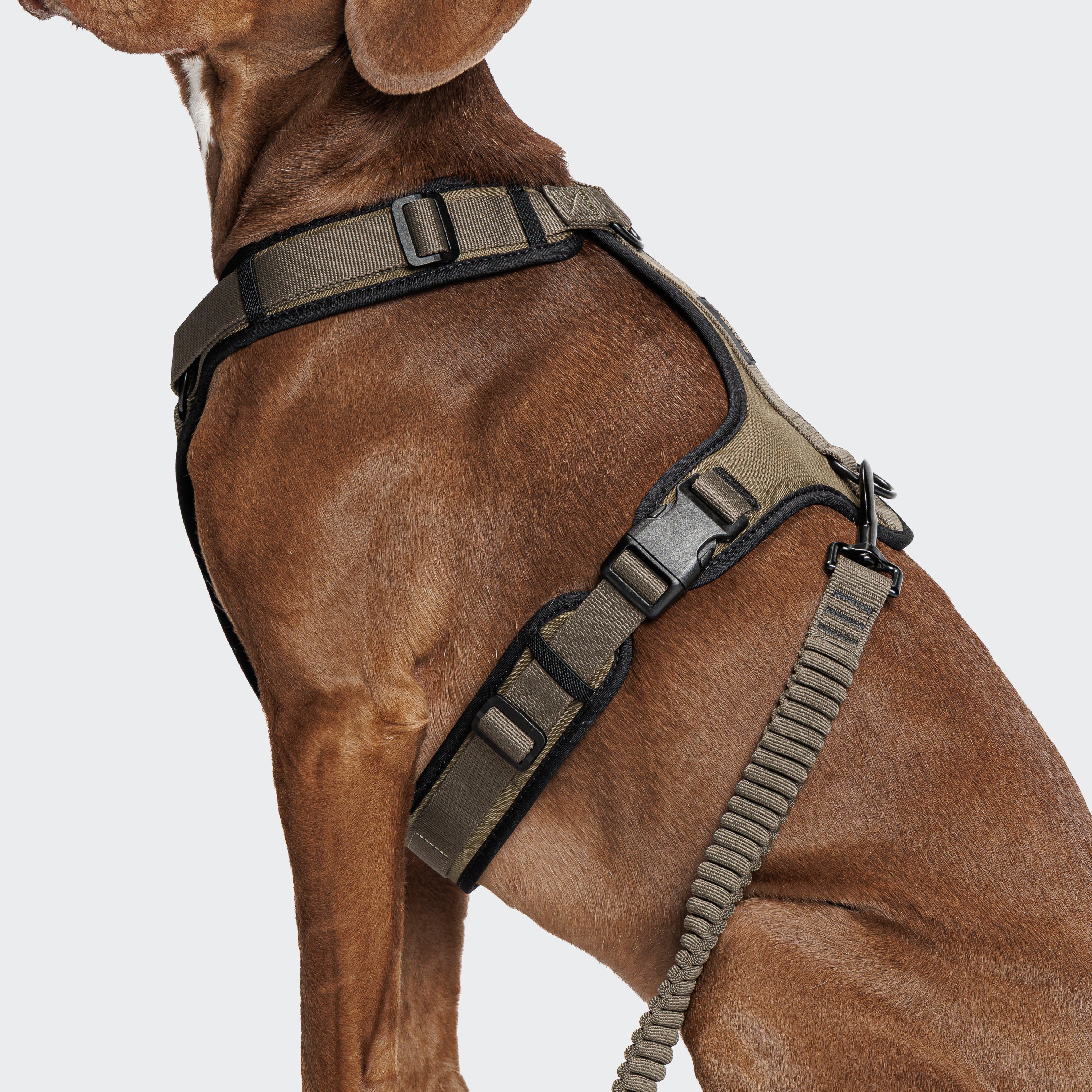 Cloud7: L-2 AKTIV Jogging Dog Leash, Olive