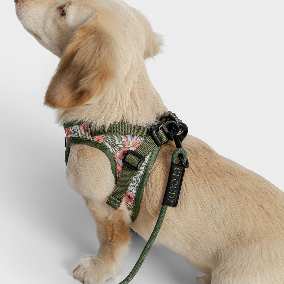 Cloud7 LTTL lightweight ergonomic step in harness for small dogs in a green and pink floral blossom print.