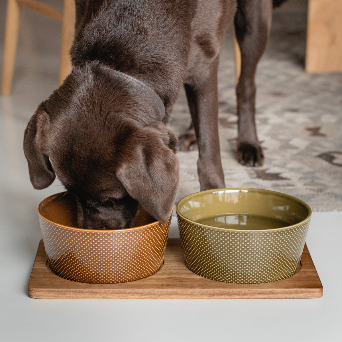 Cloud7 Mauro sustainable mango wood dog feeding station in a dark brown stained finish holding pet bowls