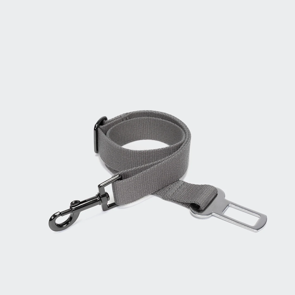 Cloud7: Portable Dog Car Seat Getaway Light Graphite