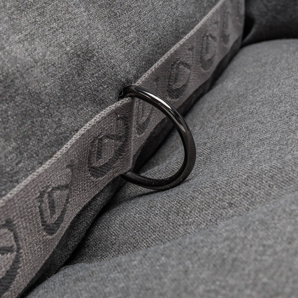 Cloud7: Portable Dog Car Seat Getaway Light Graphite