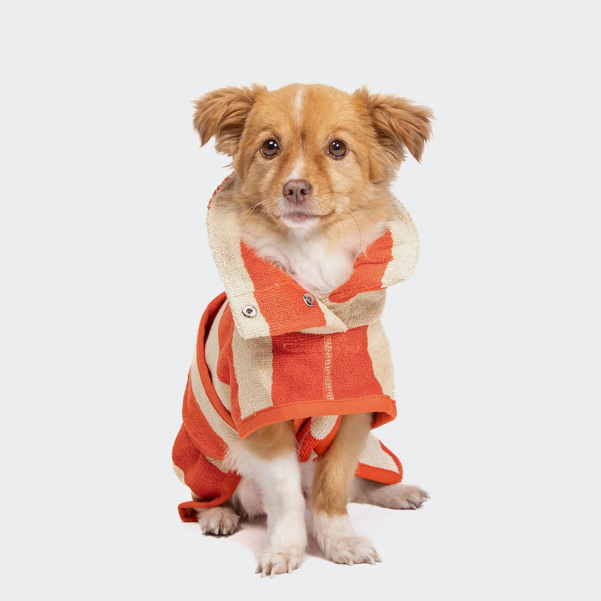 Cloud7 Wannsee dog bathrobe in a beige and orange striped pattern made from absorbent organic cotton terry cloth.