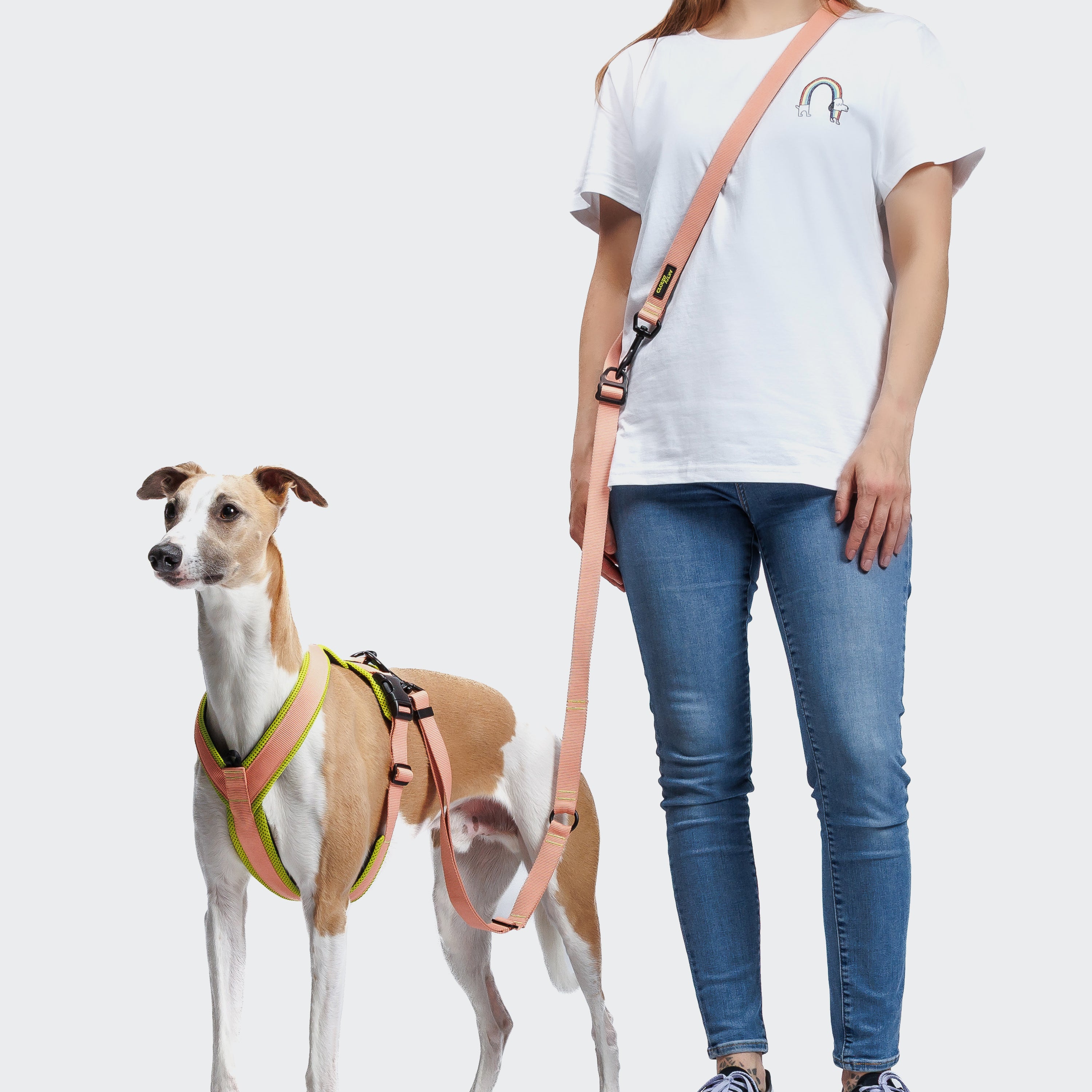 Cloud7 Y-1 AKTIV Air-Mesh Dog Harness on a dog showing the ergonomic chest strap padding