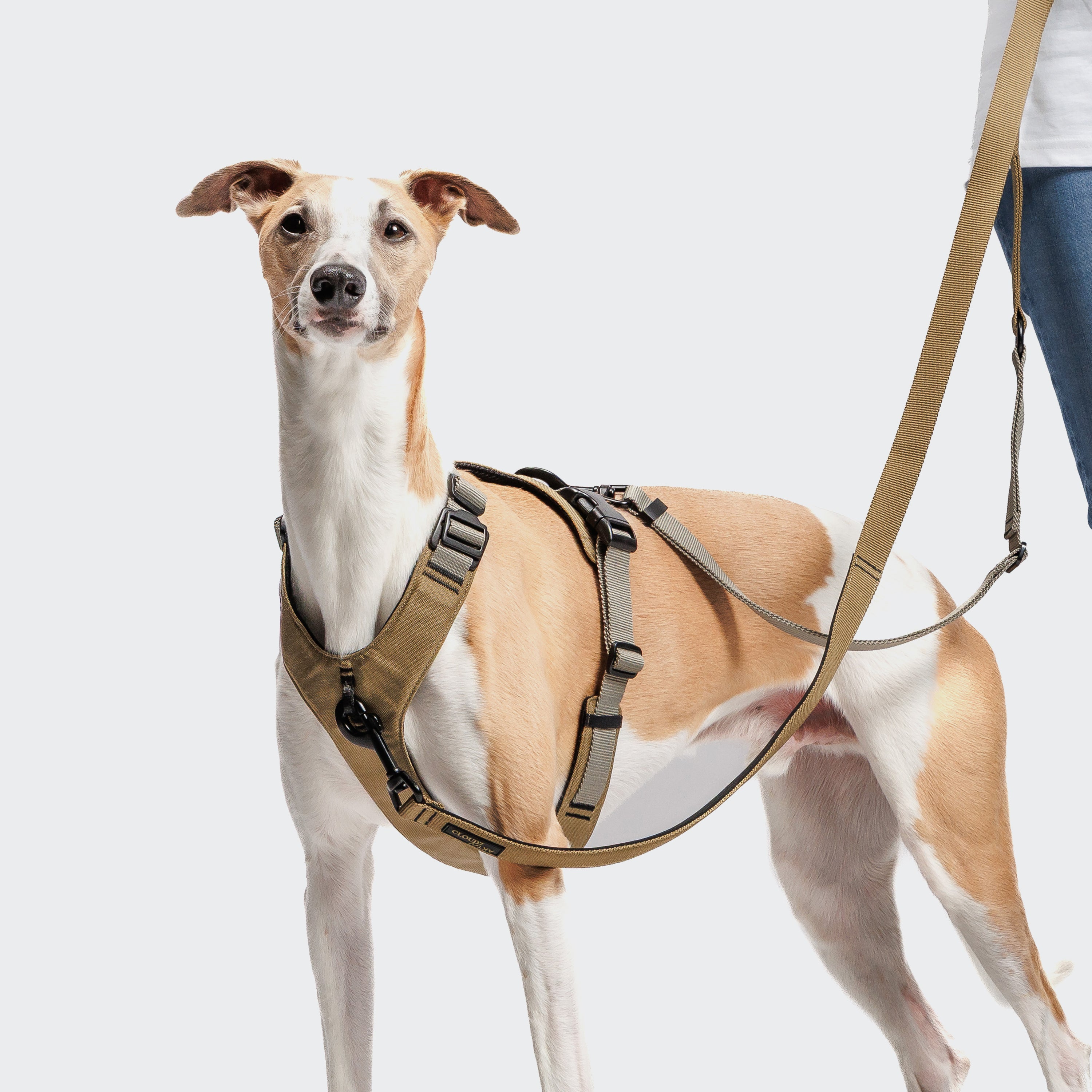 Cloud7 Y-2 AKTIV Cordura Dog Harness, Khaki | Padded & Water-Repellent