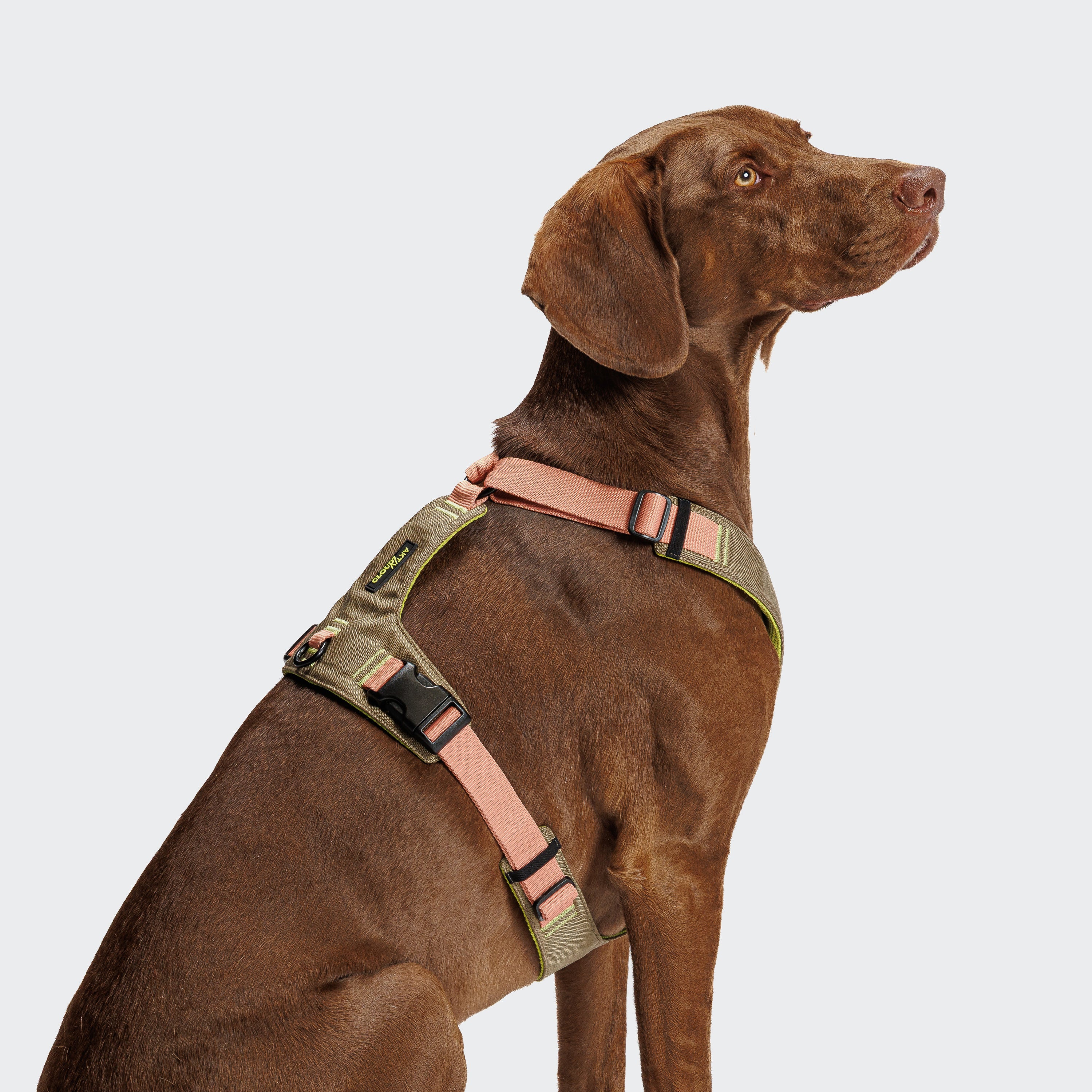 Cloud7 Y-2 AKTIV Cordura Dog Harness, Peach | Padded & Water-Repellent