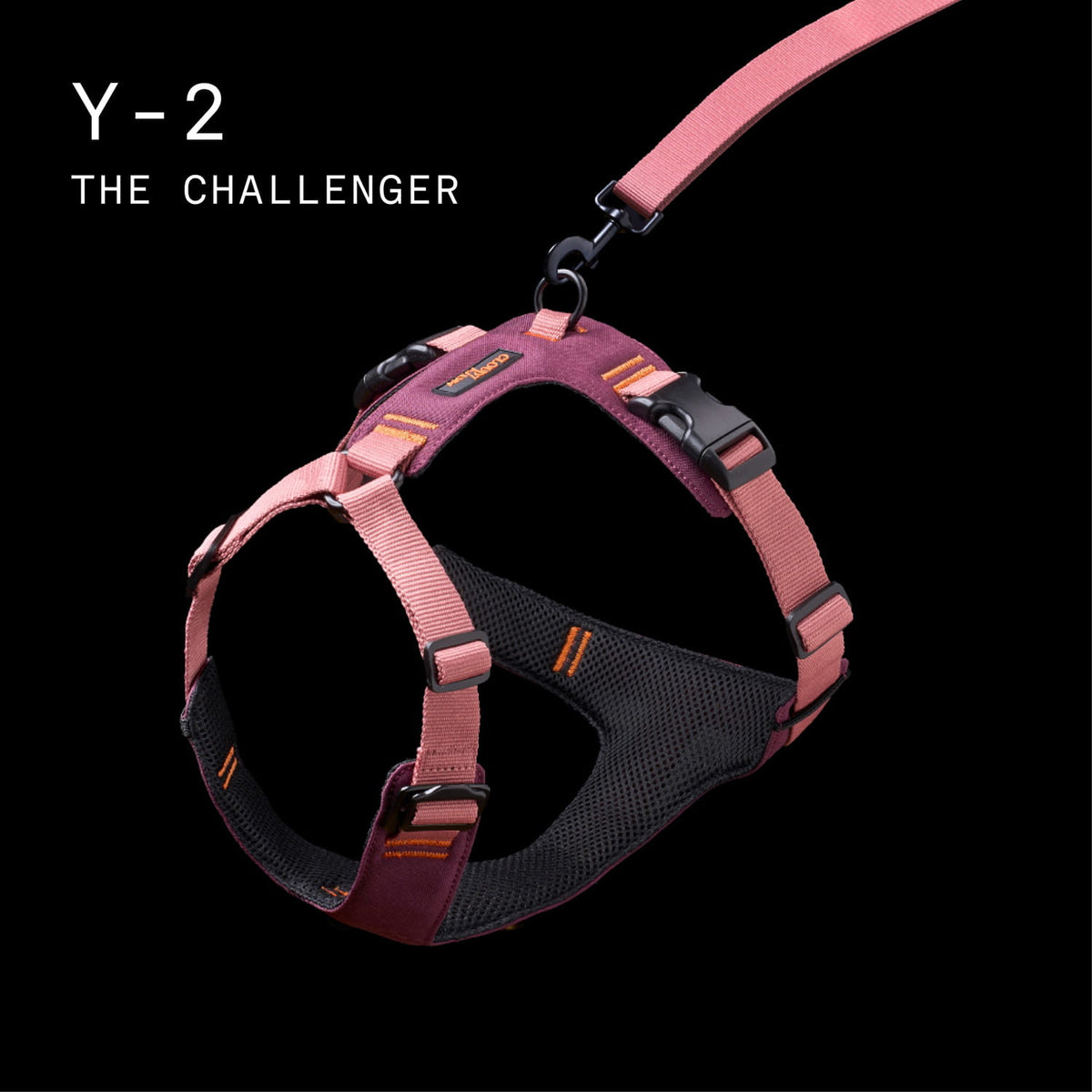 All weather UV resistant Cloud7 Y-2 AKTIV dog harness with quick dry padded mesh lining