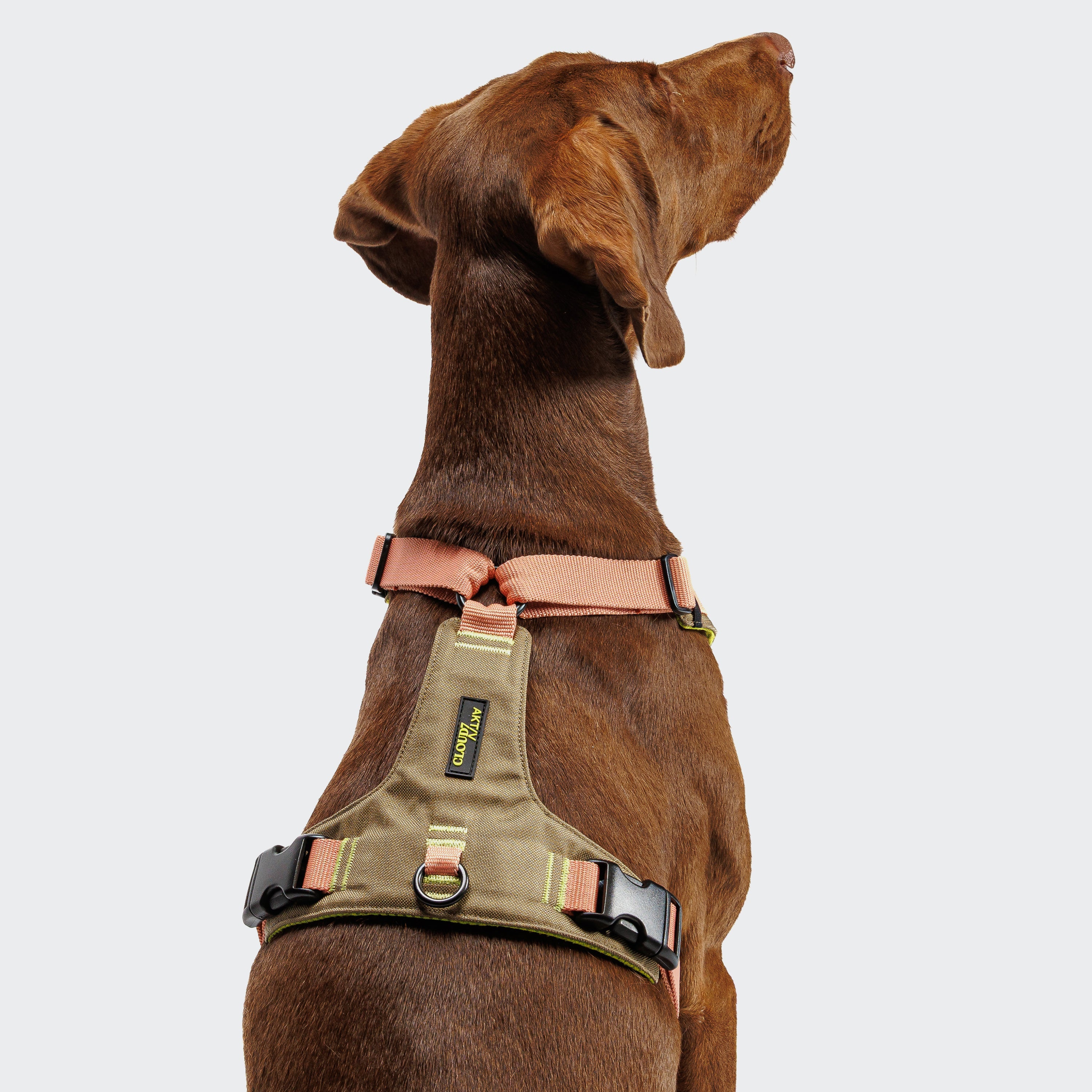 Cloud7: Y-2 AKTIV Dog Harness, Cordura Peach