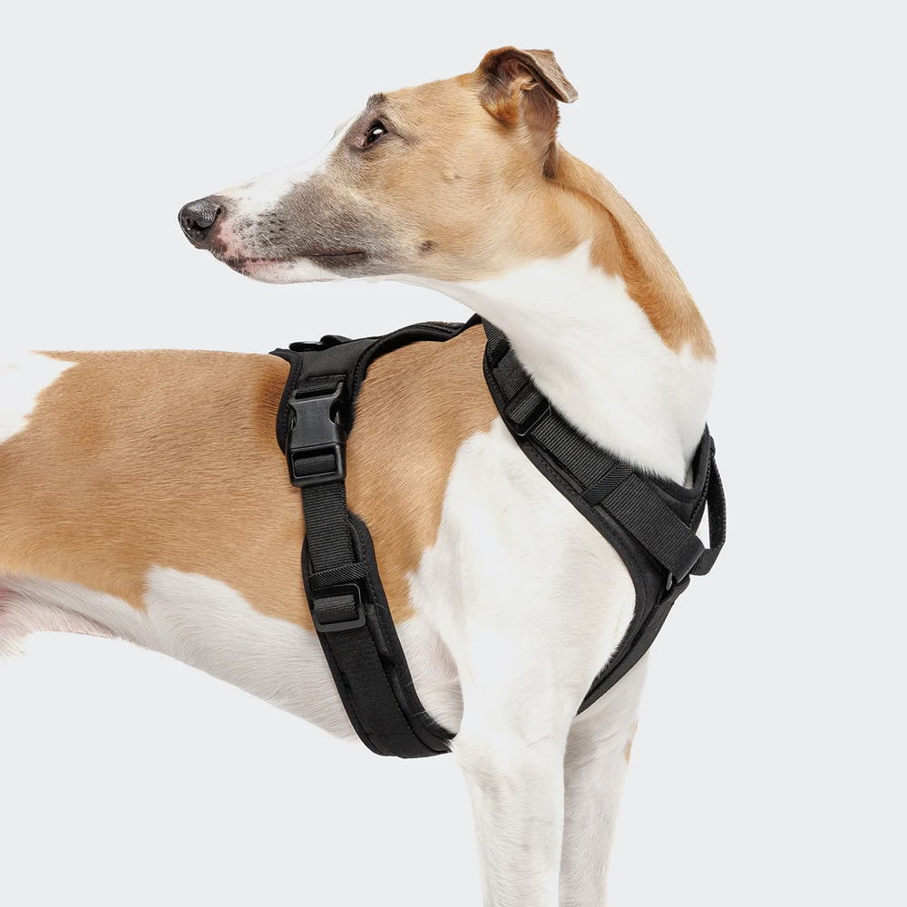 Cloud7: Y-3 AKTIV Softshell Dog Harness, Black
