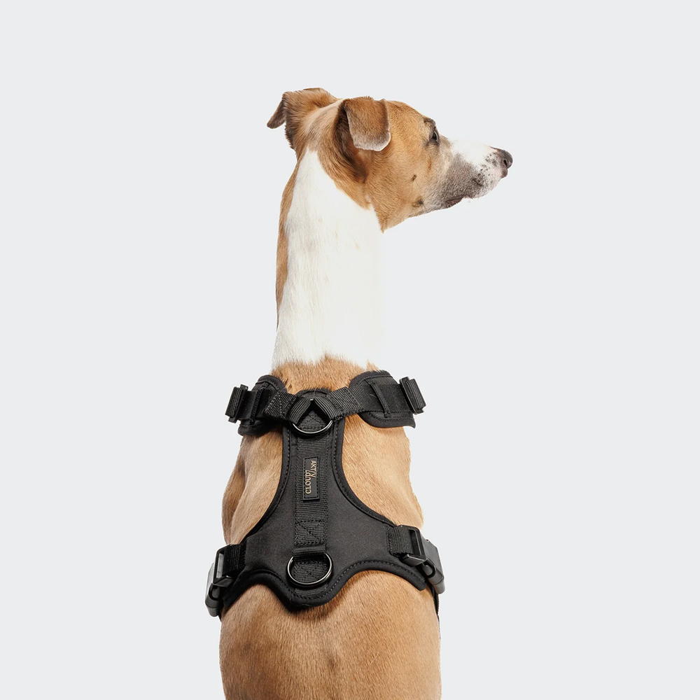 Cloud7: Y-3 AKTIV Softshell Dog Harness, Black