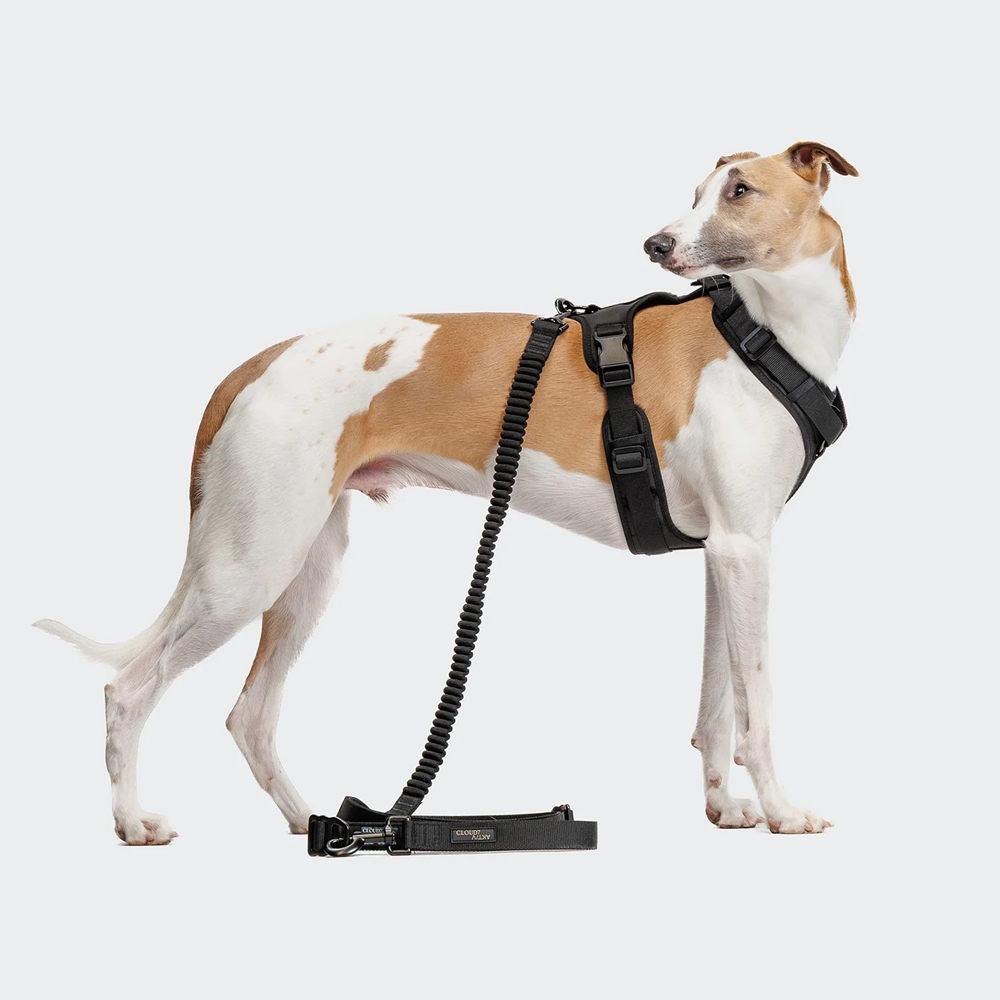 Cloud7: Y-3 AKTIV Softshell Dog Harness, Black