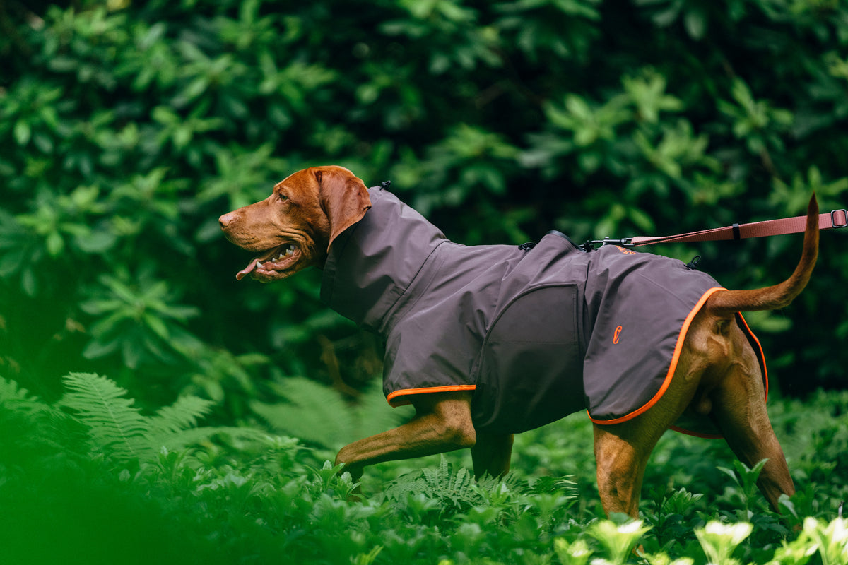 Cloud7 AKTIV fully reflective, premium windproof and water resistant active dog coat for heavy downpours