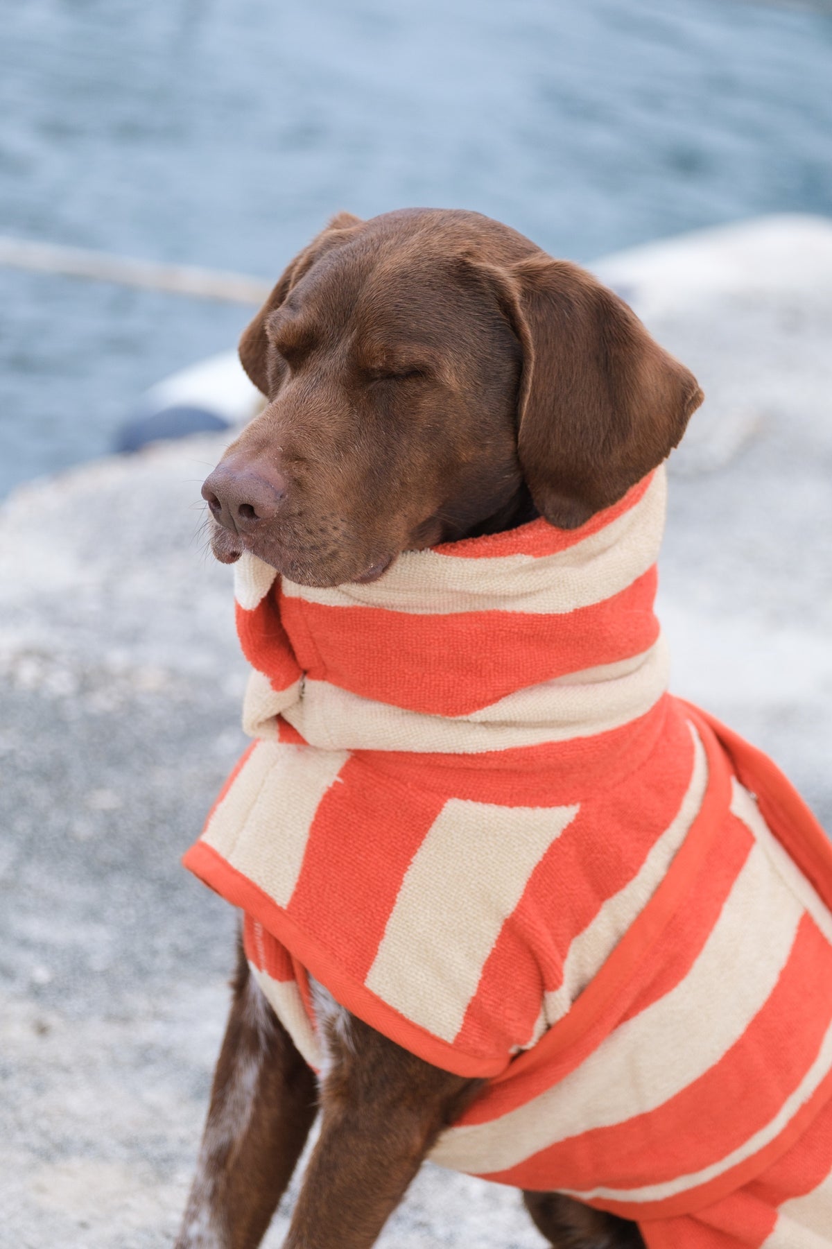 Cloud7 Wannsee dog bathrobe in a beige and orange striped pattern made from absorbent organic cotton terry cloth.