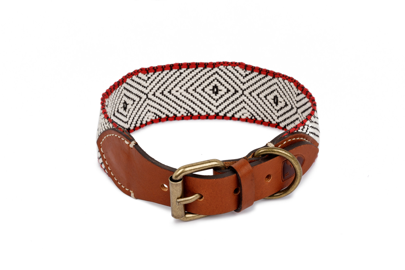 Dog Collar: Capri Beach Day