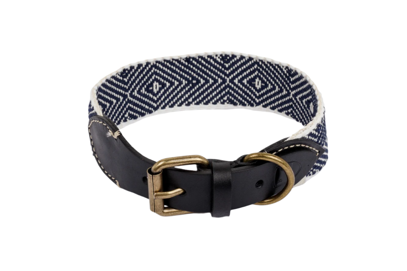Dog Collar: Capri Party Night