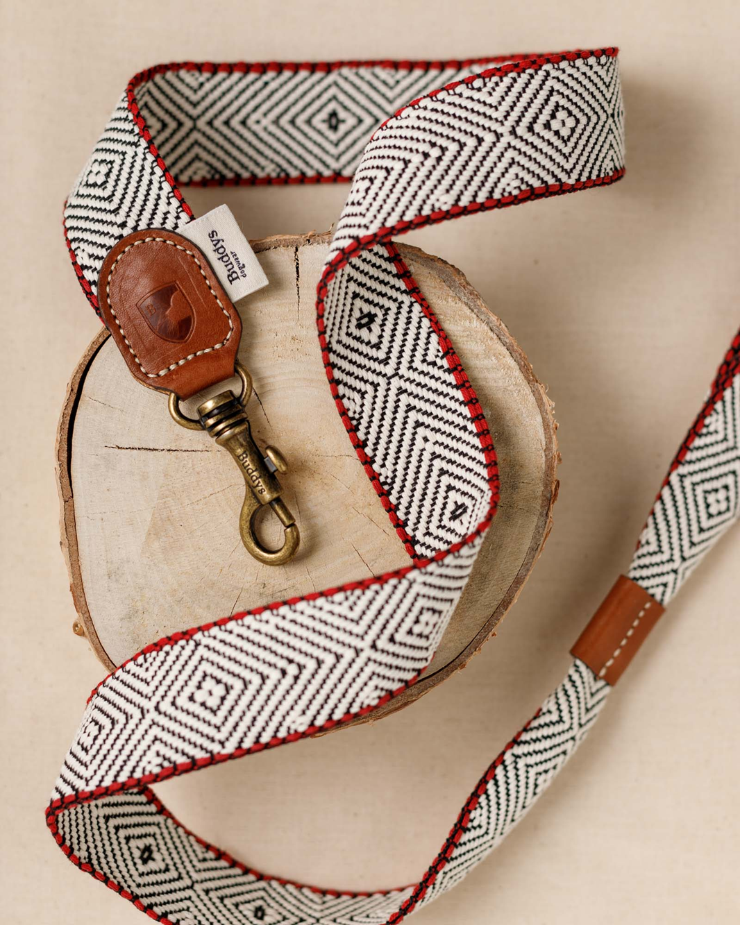 Dog Lead: Capri Beach Day