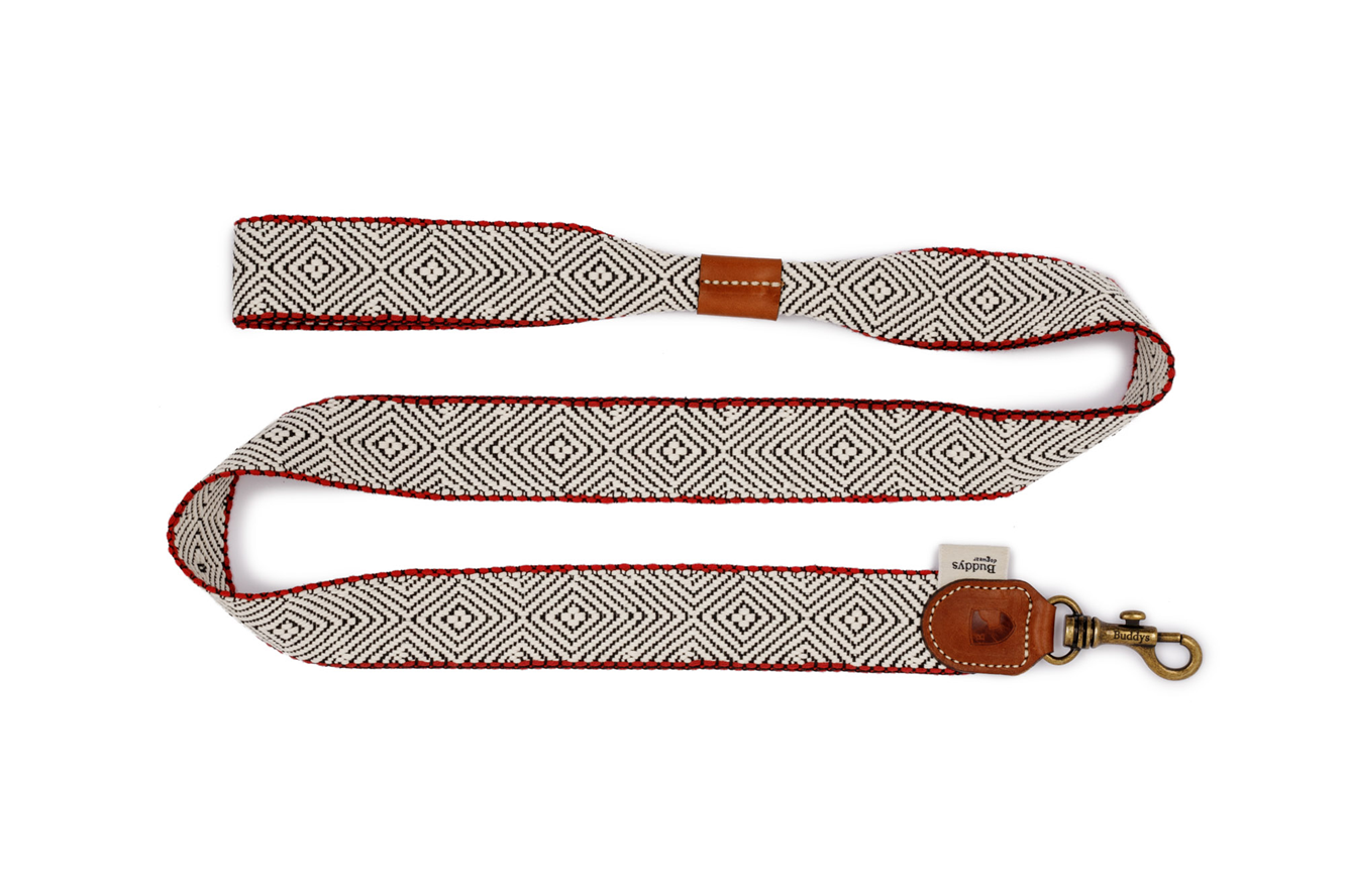 Dog Lead: Capri Beach Day