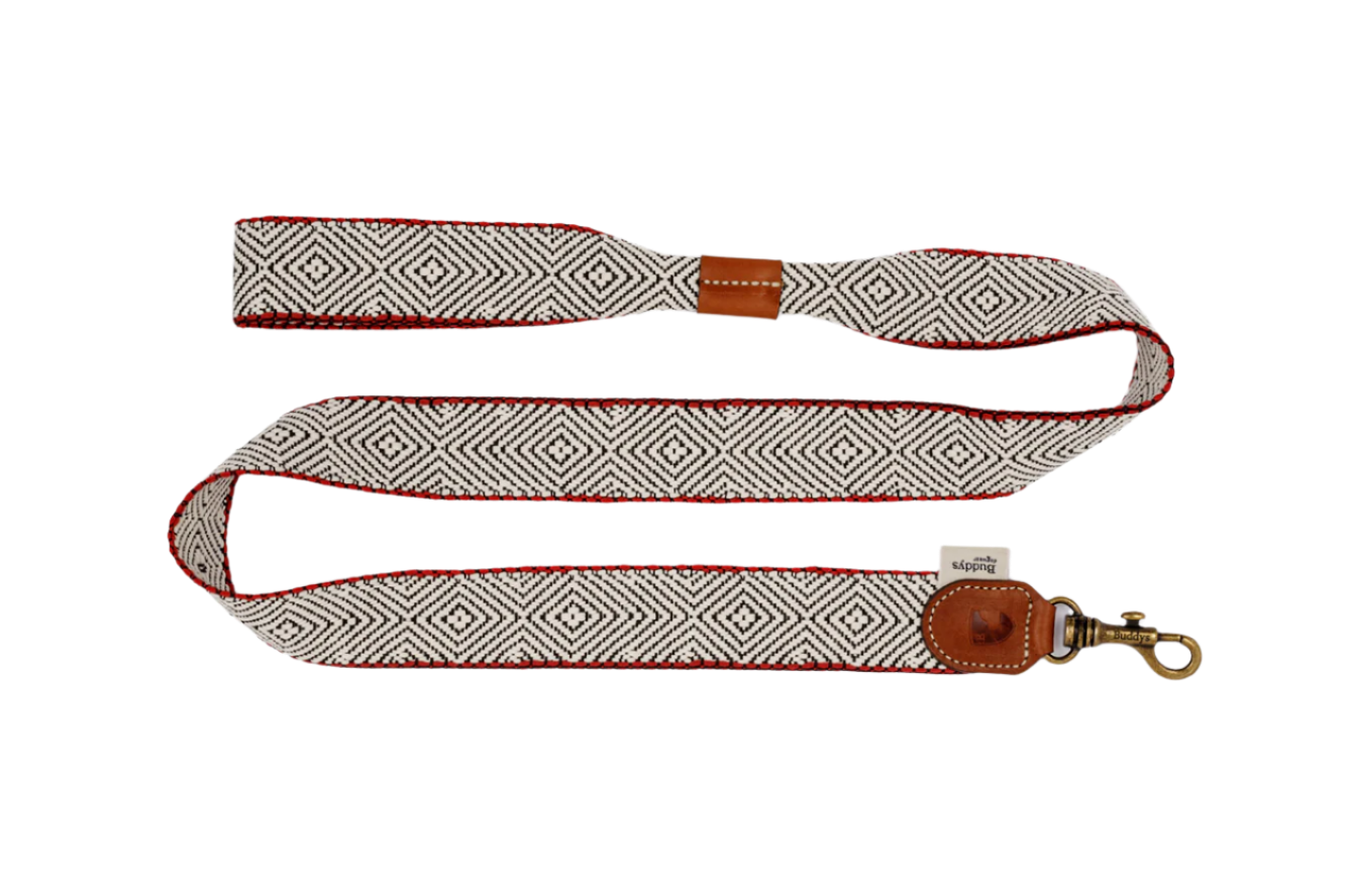 Dog Lead: Capri Beach Day