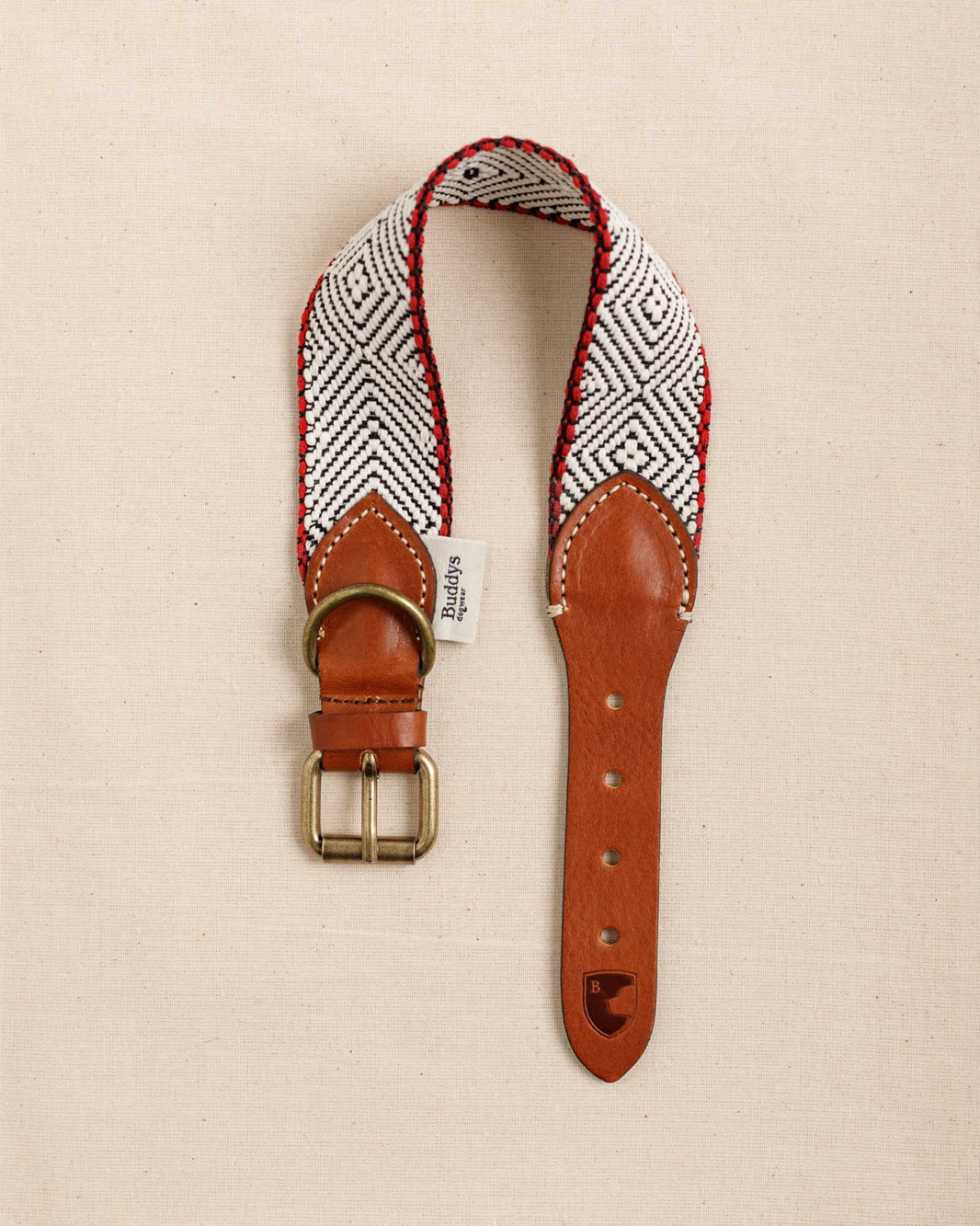 Dog Collar: Capri Beach Day