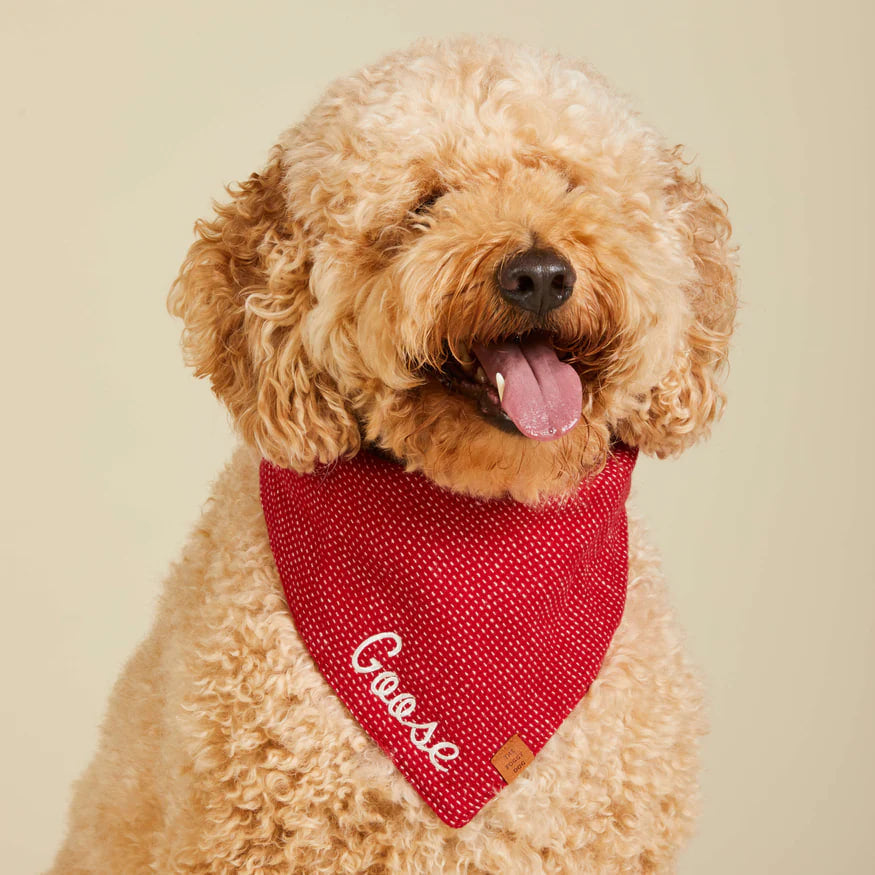 Dog and Cat Bandana: Berry Stitch Flannel