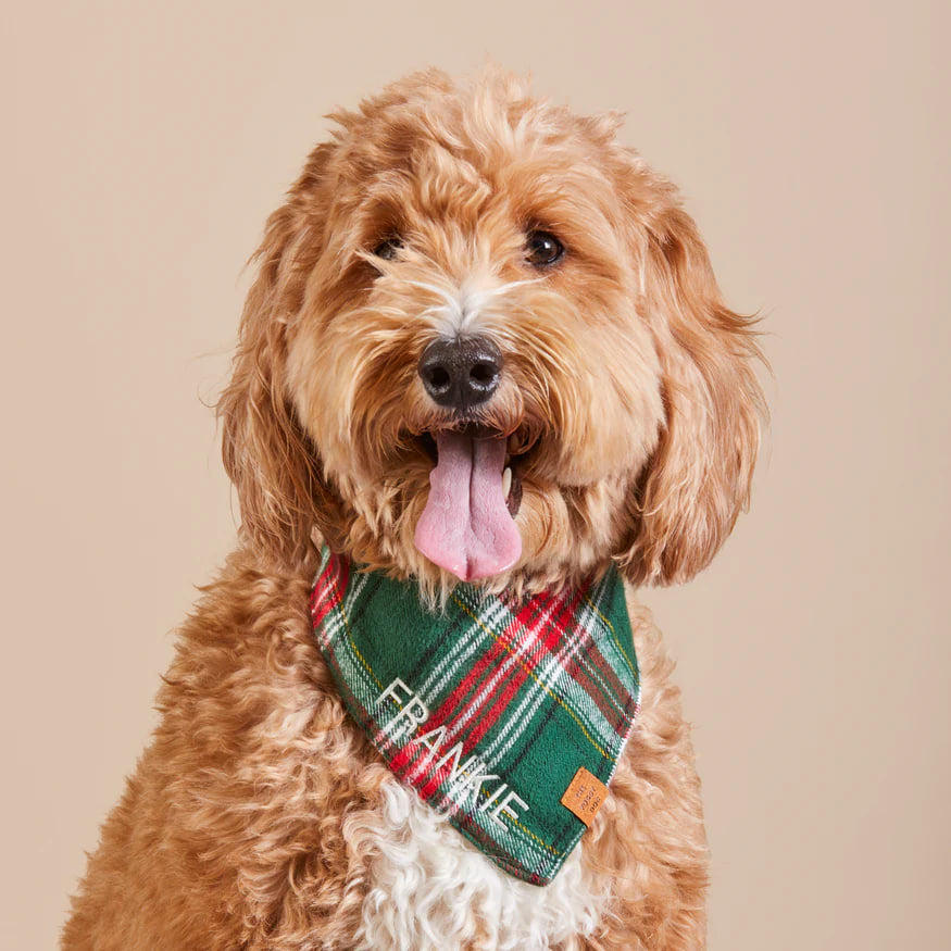 Dog and Cat Bandana: Holly Jolly Flannel