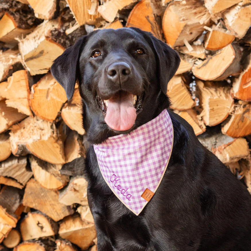 Dog and Cat Bandana: Thistle Gingham