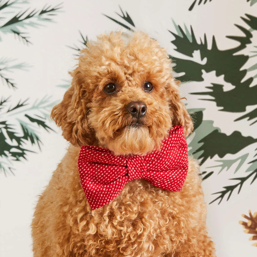 Dog and Cat Bowtie: Berry Stitch Flannel