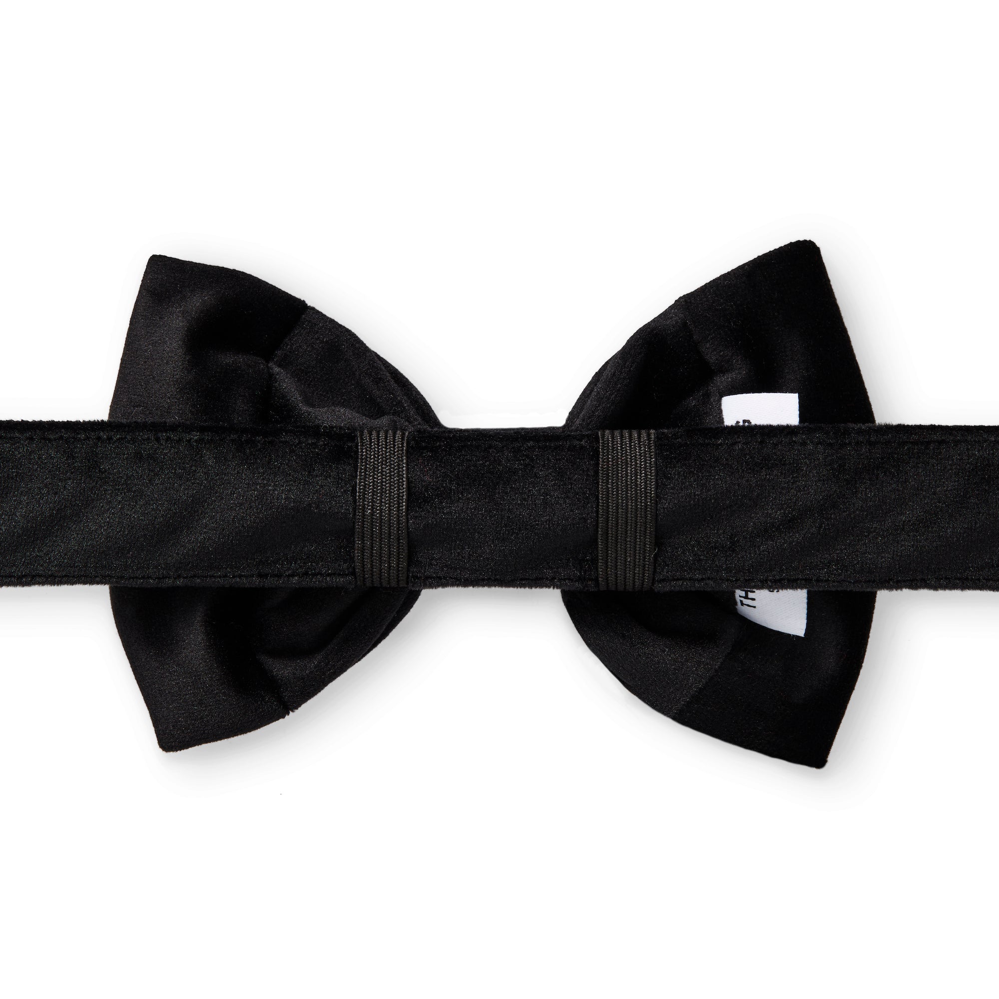 Dog and Cat Bowtie: Black Velvet