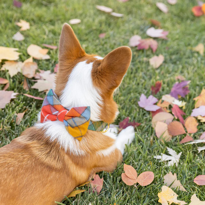 Dog and Cat Bowtie: Buchanan Plaid Flannel