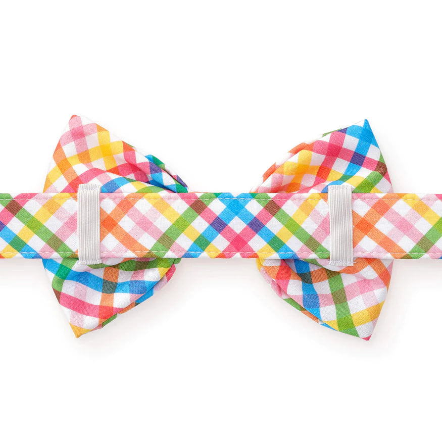 Dog and Cat Bowtie: Rainbow Gingham