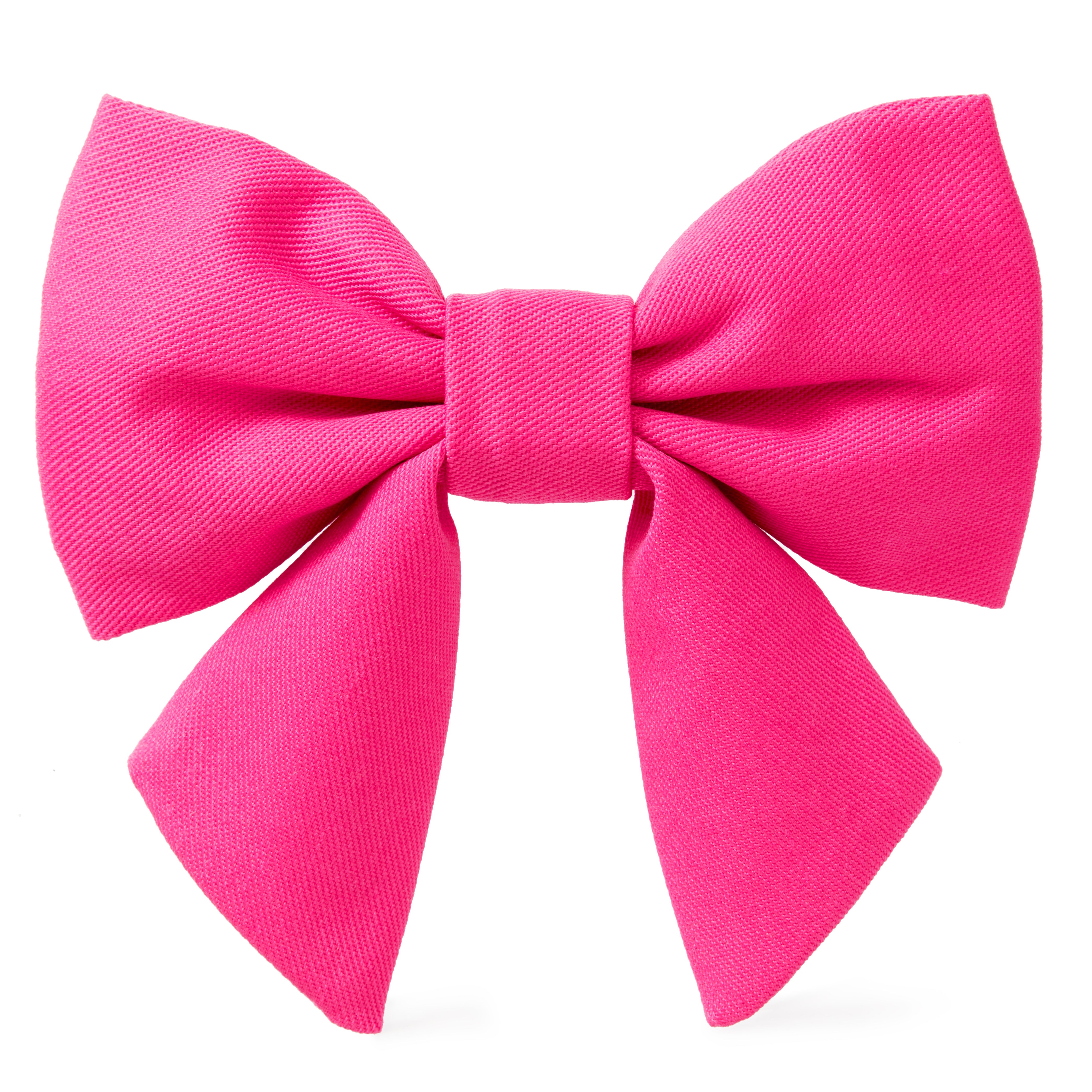 Dog and Cat Lady Bowtie: Hot Pink