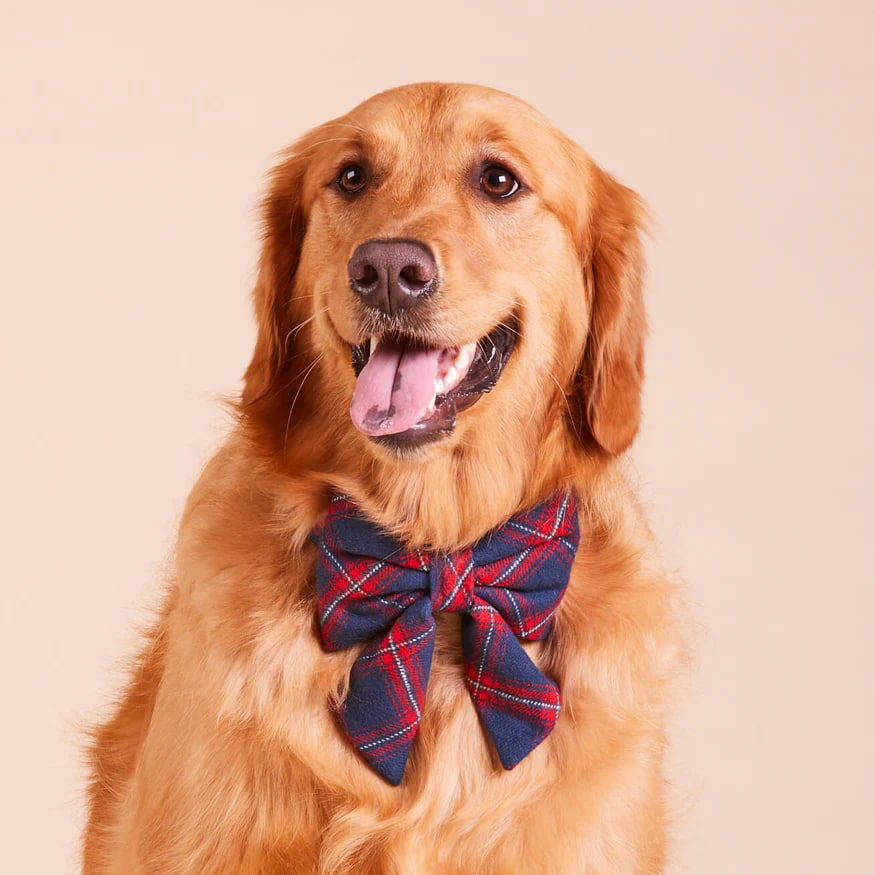 Dog and Cat Lady Bowtie: Kingston Plaid Flannel