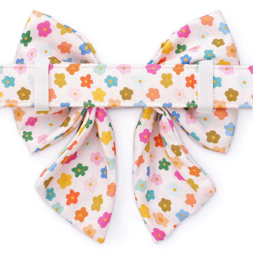 Dog and Cat Lady Bowtie: Rainbow Flower
