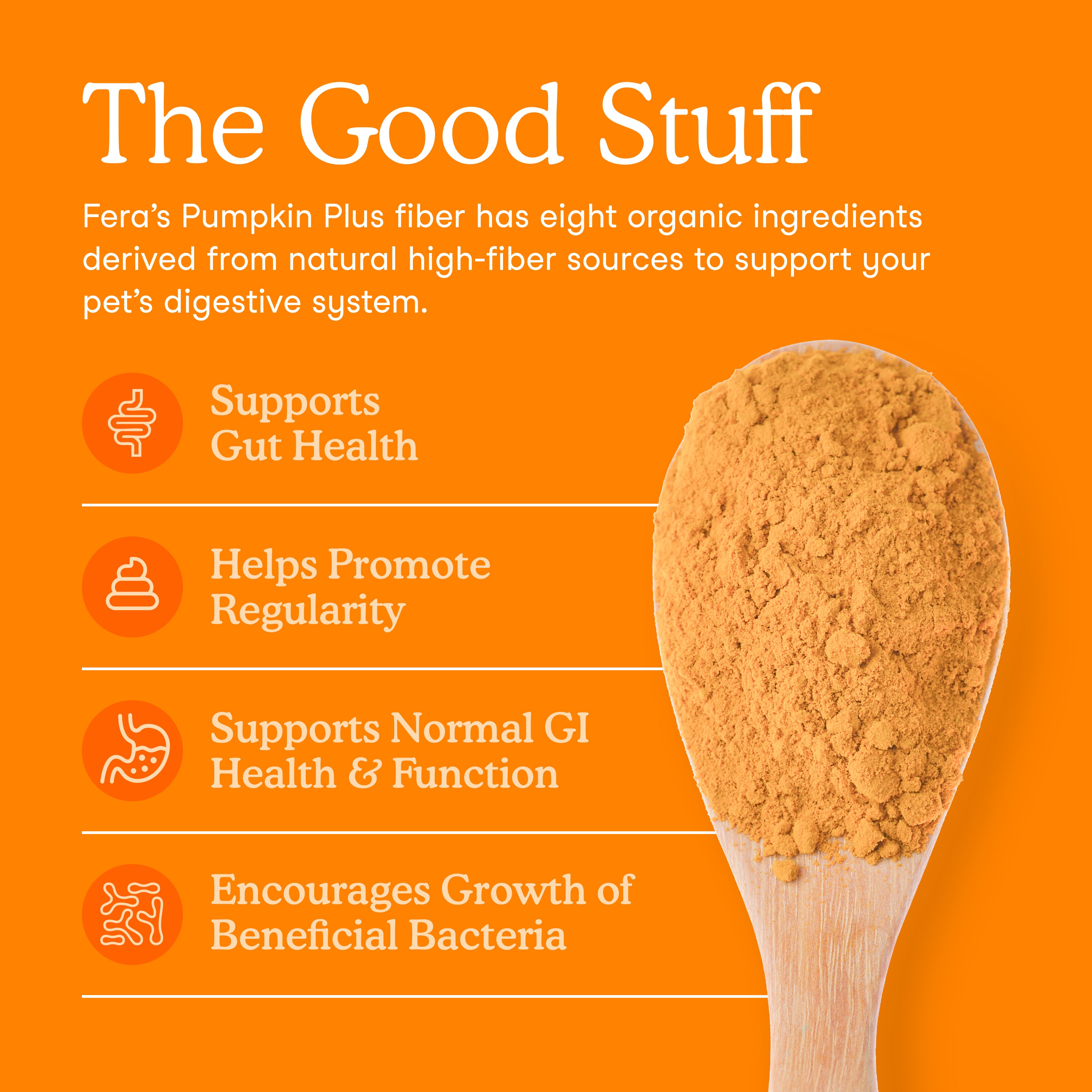 Fera Pet Organics Dog and Cat Supplement, Pumpkin Plus