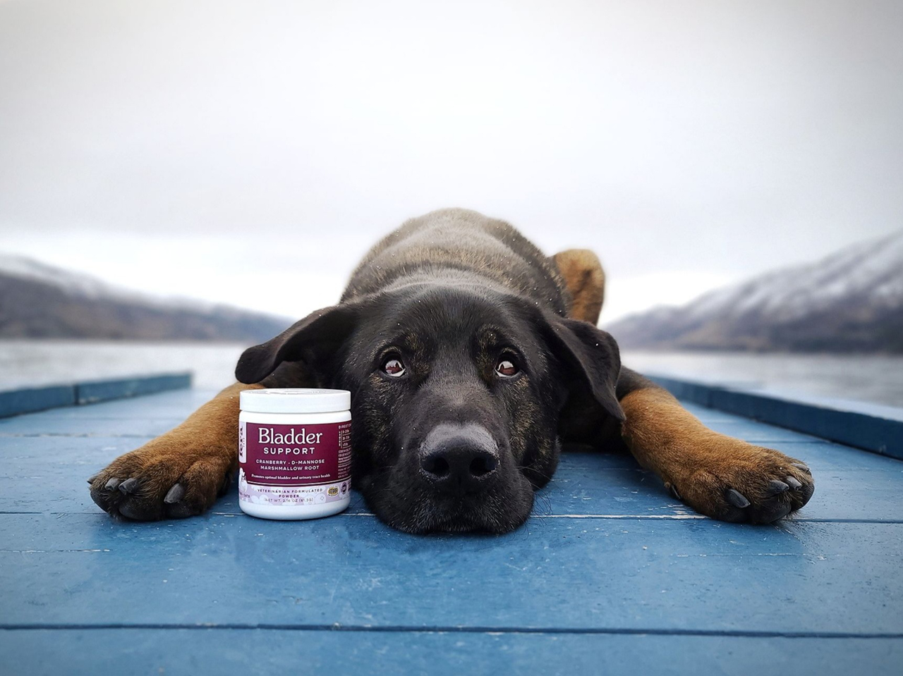 Fera Pet Organics Dog and Cat Supplement, Bladder Support