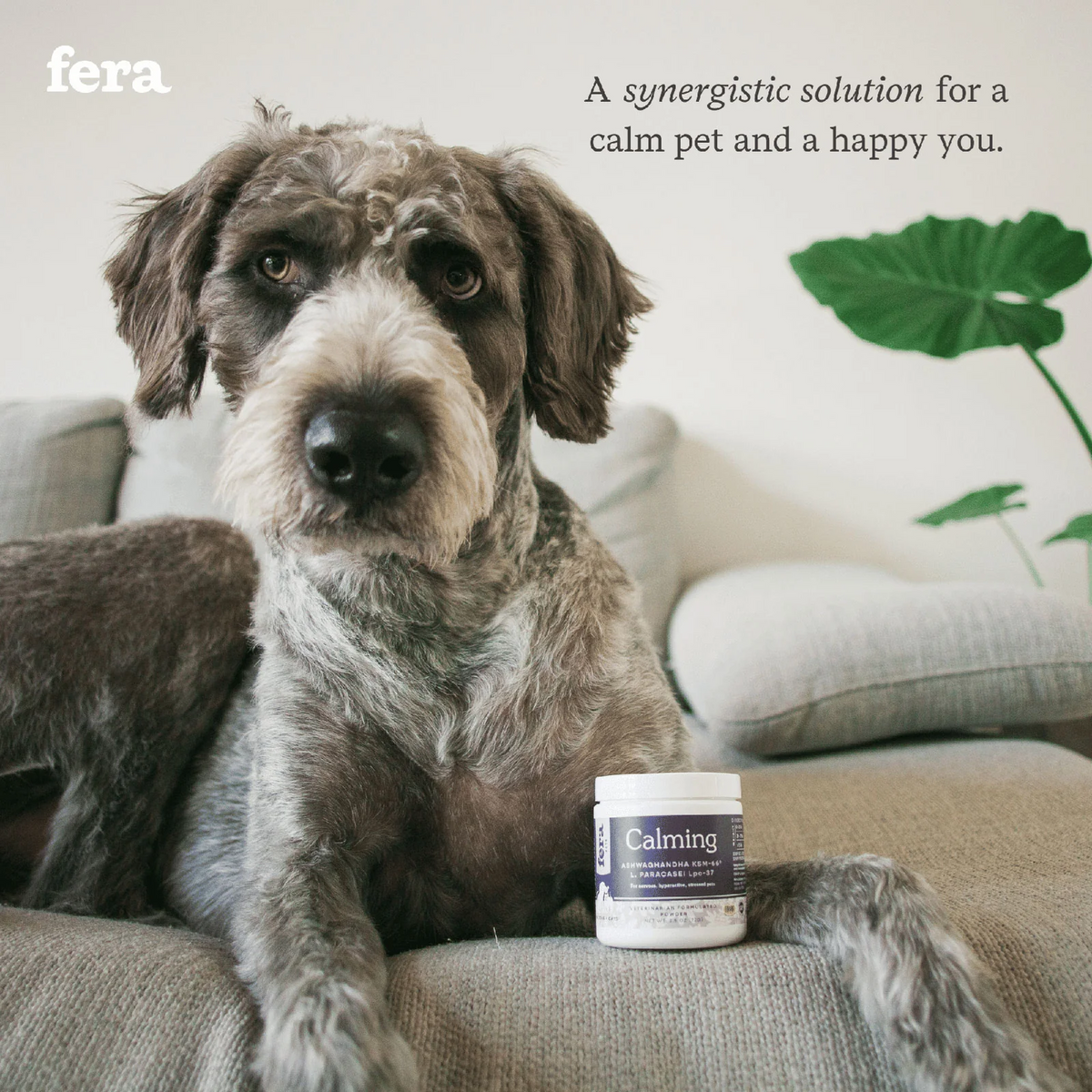 Fera Pet Organics Dog and Cat Supplement, No Stress Bundle